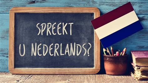 nederlands leren online